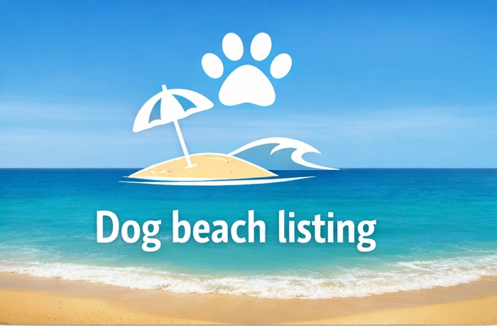 DogBeach